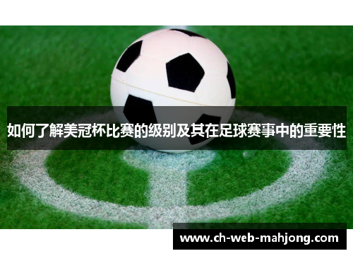 如何了解美冠杯比赛的级别及其在足球赛事中的重要性 如何了解美冠杯比赛的级别及其在足球赛事中的重要性