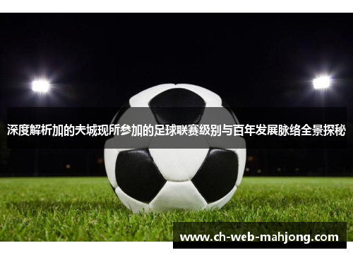 深度解析加的夫城现所参加的足球联赛级别与百年发展脉络全景探秘 深度解析加的夫城现所参加的足球联赛级别与百年发展脉络全景探秘